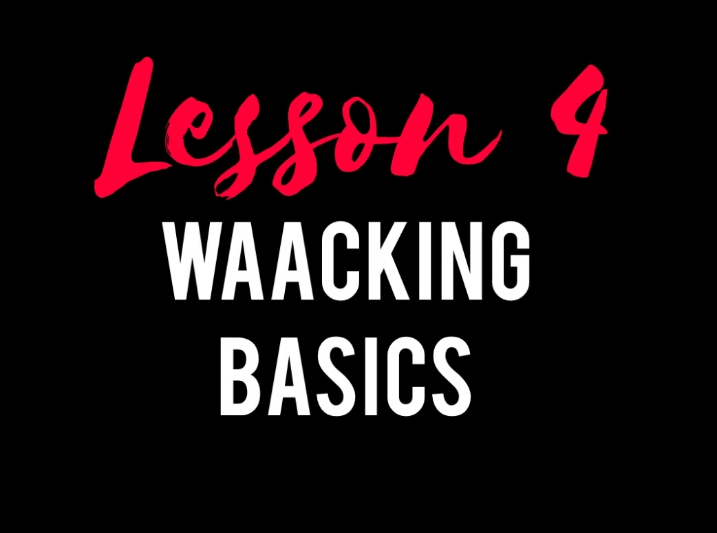 Lesson 4 Waacking elearning.urbandancestyles.at